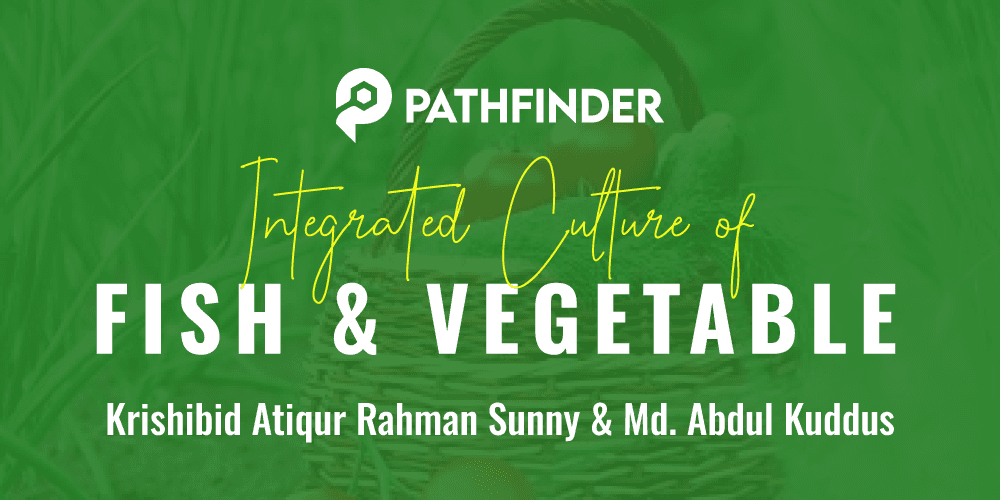 Integrated Culture of Fish and Vegetables