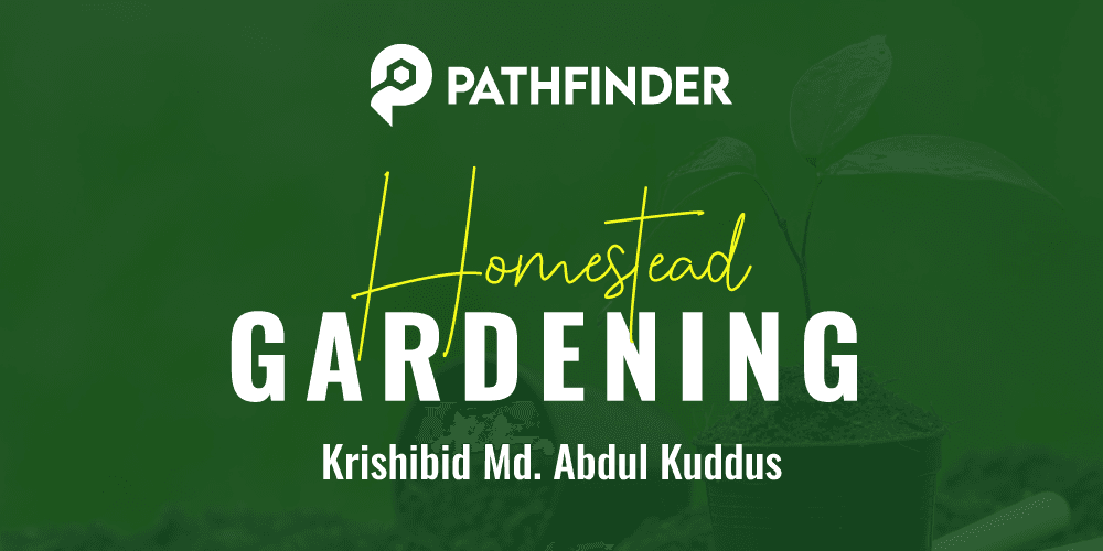 Homestead Gardening