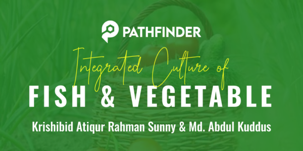 Integrated Culture of Fish and Vegetables