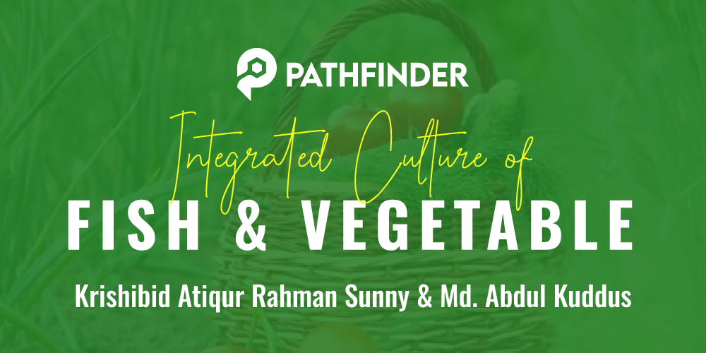 Integrated Culture of Fish and Vegetables