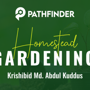 Homestead Gardening
