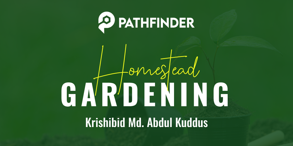 Homestead Gardening