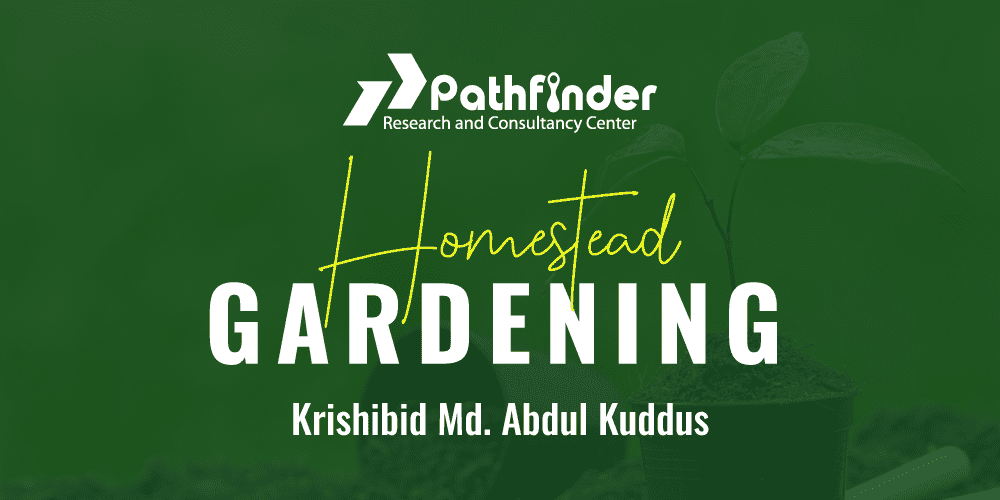 Homestead Gardening