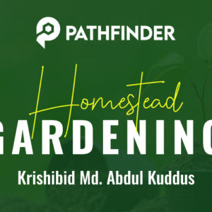 Homestead Gardening